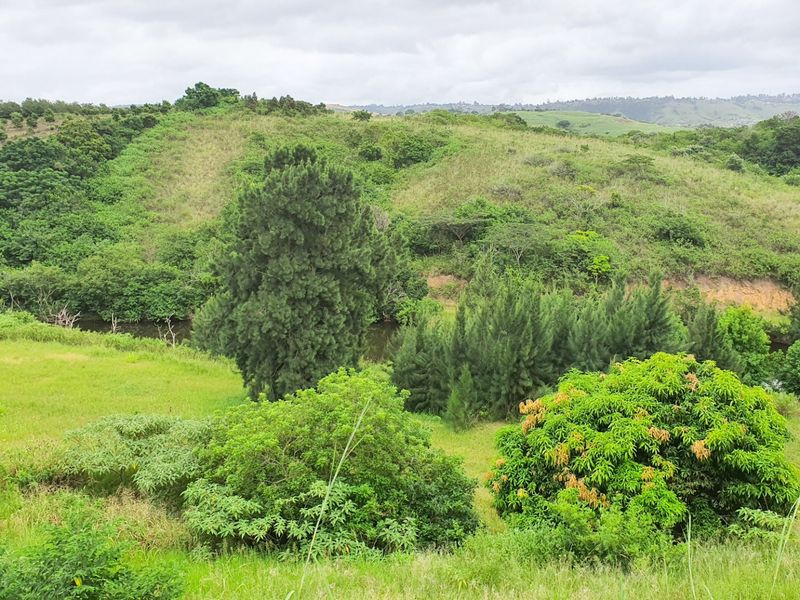 A scenic view of the natural landscape featuring lush green hills, dense vegetation, and a small water body.