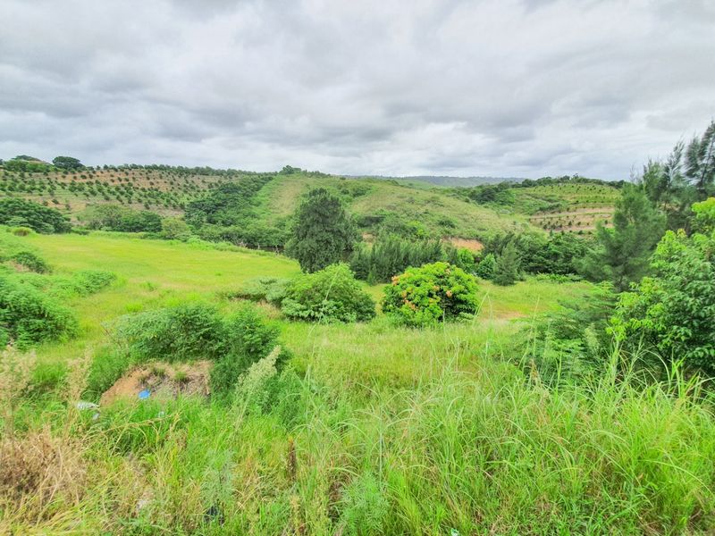 A scenic view of the expansive green landscape and rolling hills surrounding the industrial property.