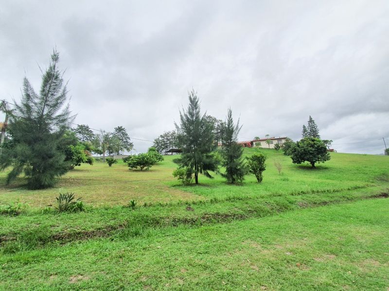 A wide-angle view of a spacious, grassy industrial property lot featuring mature trees and a gentle slope.