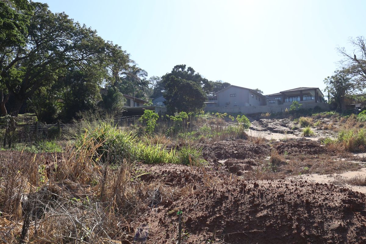 Land Already Cleared To Build - Photo 3