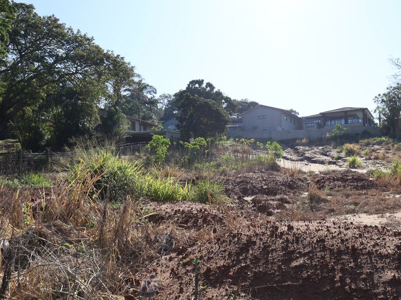 Land Already Cleared To Build - Photo 3