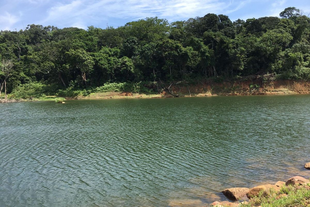 A scenic view of a natural water body bordered by dense forest and rocky shoreline on the farm property.