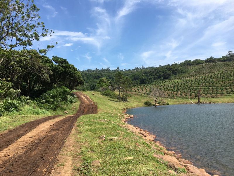 Well Positioned Macadamia Nut Farm For Sale - Photo 1