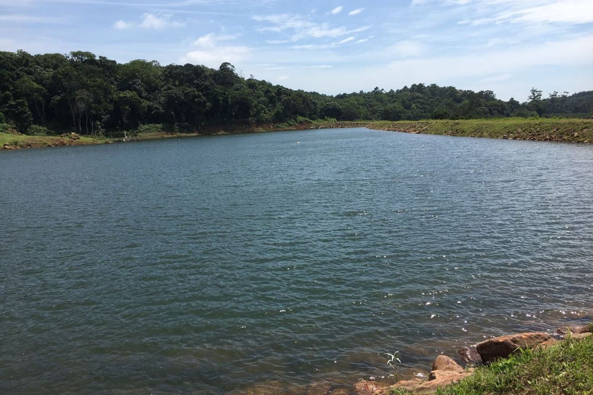 A scenic view of a large farm dam or reservoir surrounded by natural vegetation and rolling landscape.