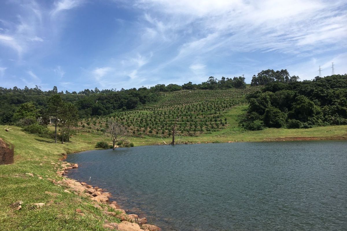 Scenic view of a private dam on the farm property, featuring a well-maintained orchard on the hillside in the background.