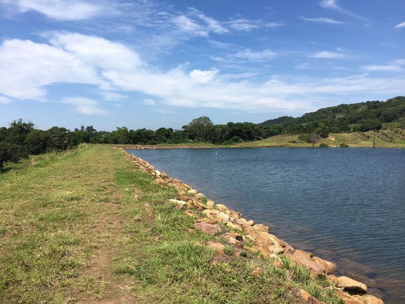 Well Positioned Macadamia Nut Farm For Sale - Photo 4