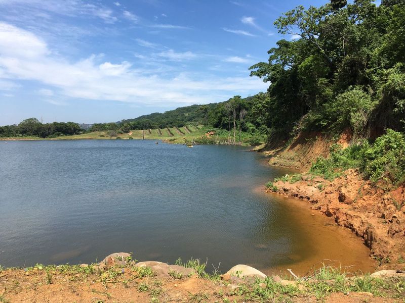 Well Positioned Macadamia Nut Farm For Sale - Photo 8