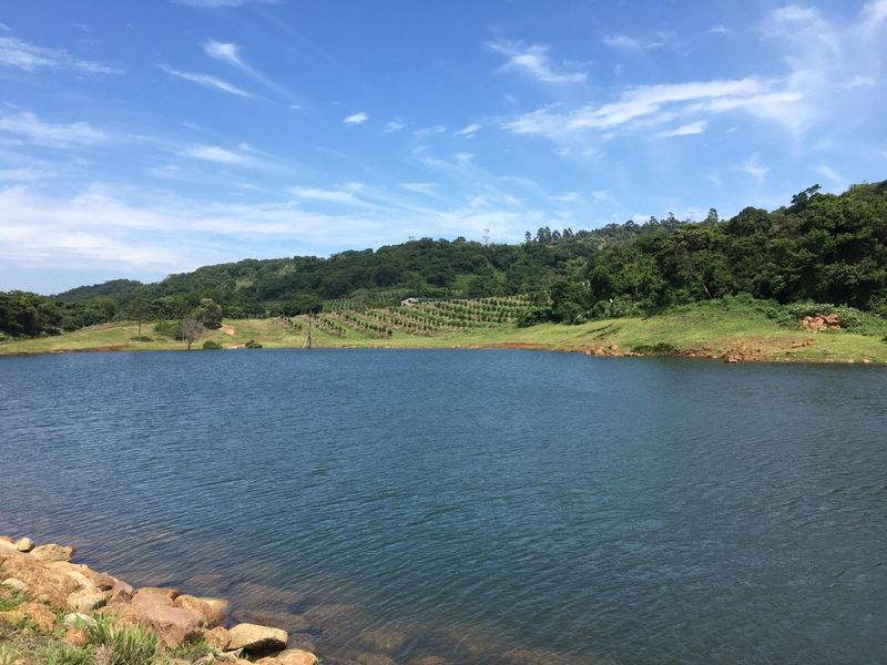 Well Positioned Macadamia Nut Farm For Sale - Photo 6