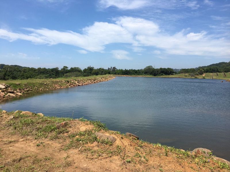 Well Positioned Macadamia Nut Farm For Sale - Photo 7