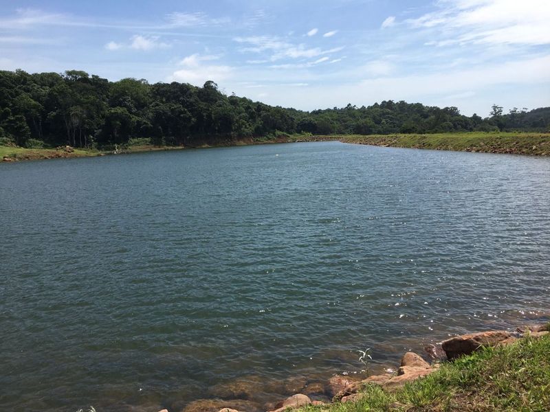 Well Positioned Macadamia Nut Farm For Sale - Photo 2