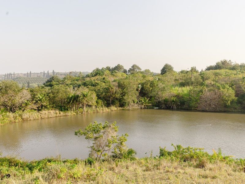 A scenic view of a natural farm dam surrounded by lush indigenous vegetation and trees.