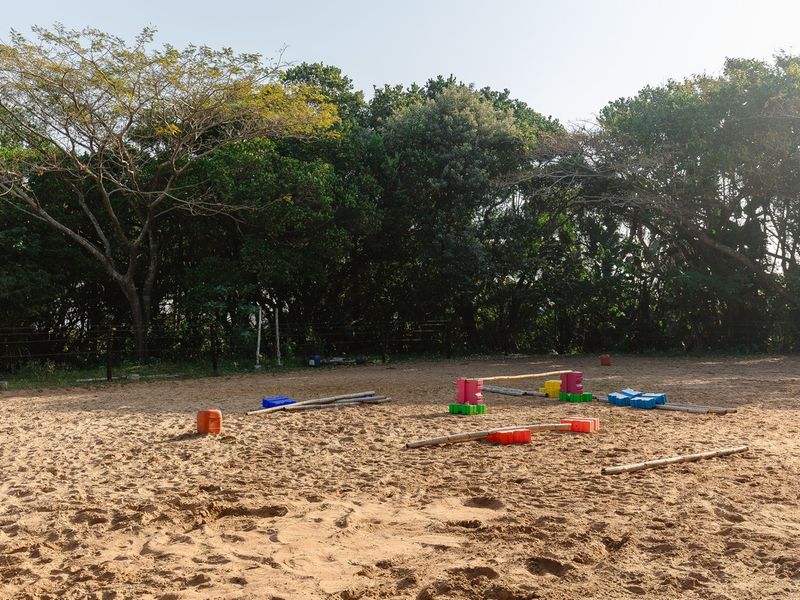 An outdoor sand arena or paddock area on the farm, suitable for equestrian training or exercise, bordered by mature trees.