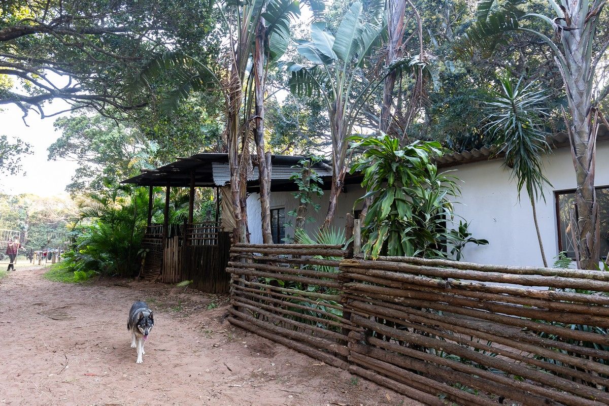 A rustic farm exterior featuring a natural timber fence, corrugated metal roof structure, and lush surrounding vegetation on a dirt path.