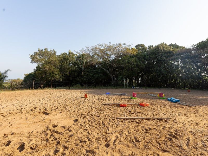 An open sandy outdoor arena or paddock area surrounded by mature trees, suitable for equestrian or recreational use.