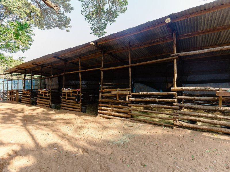 A rustic farm stable structure featuring timber log partitions and a corrugated metal roof, designed for livestock housing.