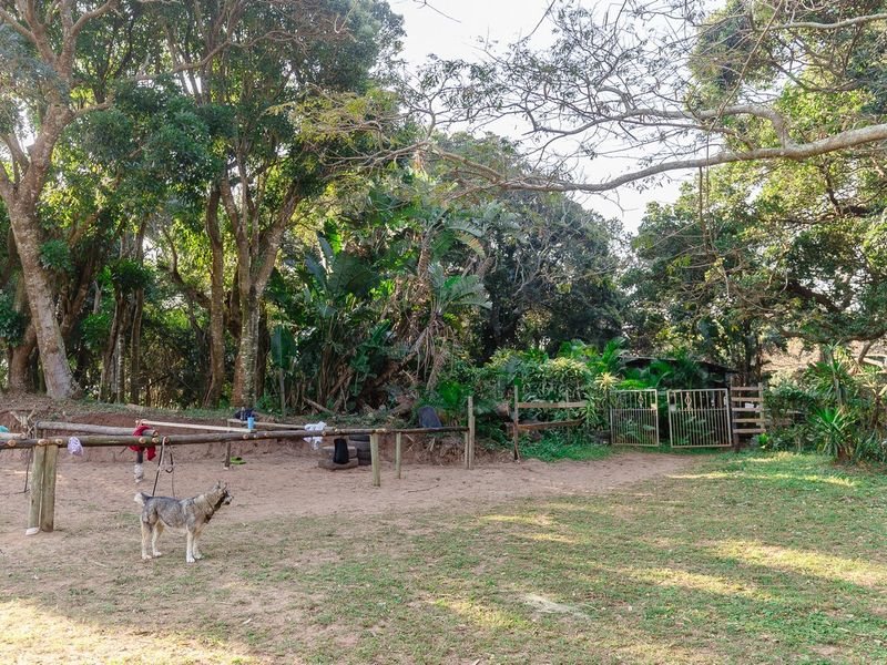 A spacious outdoor garden area on the farm featuring mature trees, a wooden post-and-rail fence, and a gated entrance.