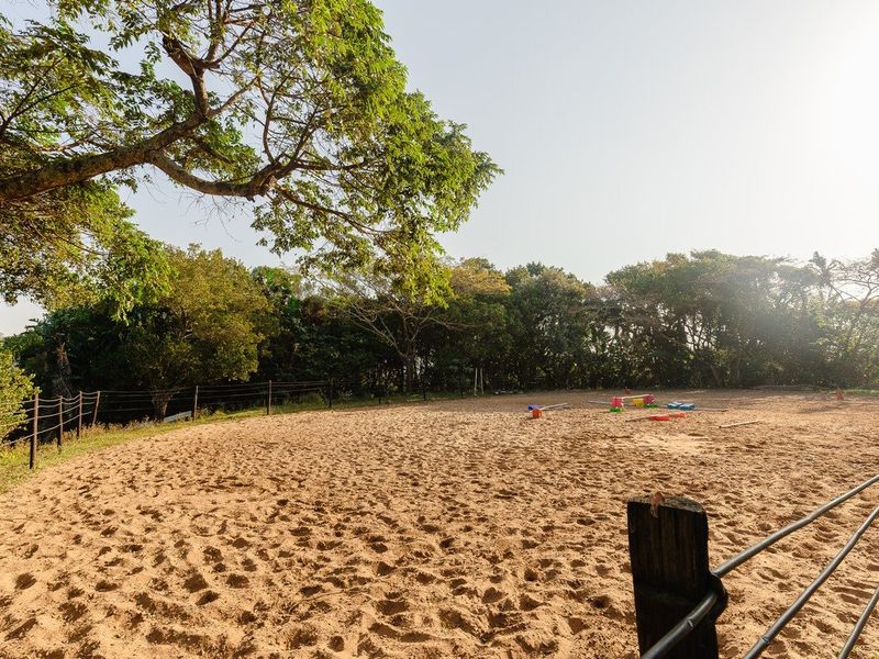 A spacious outdoor sand arena or paddock area, enclosed by post and rail fencing, surrounded by mature trees and natural vegetation.