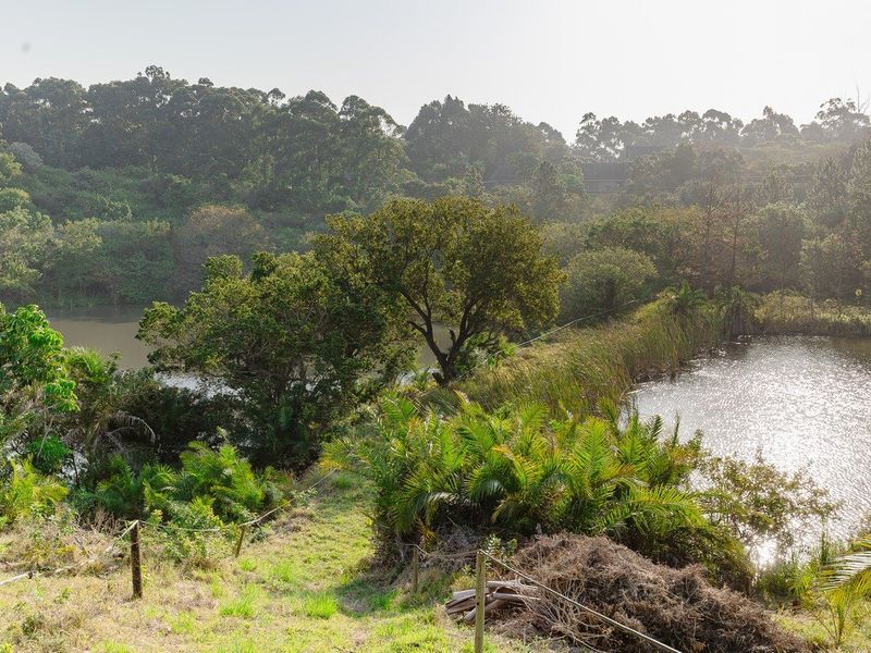 A scenic view of the farm landscape featuring natural water bodies, lush vegetation, and mature trees.