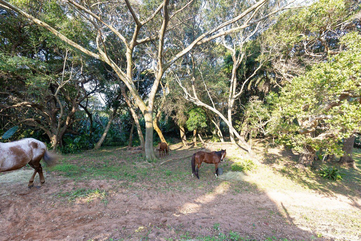 Lifestyle Farm For Sale With Dams And Sea View - Photo 3