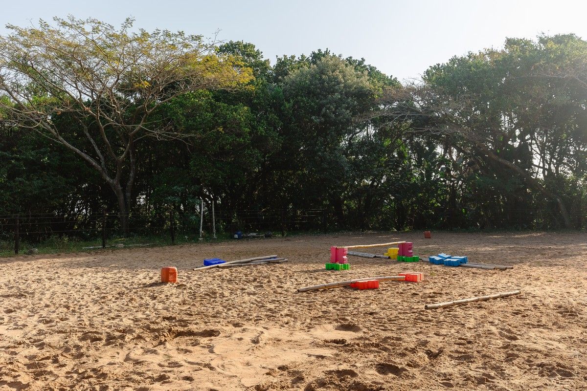 Lifestyle Farm For Sale With Dams And Sea View - Photo 4