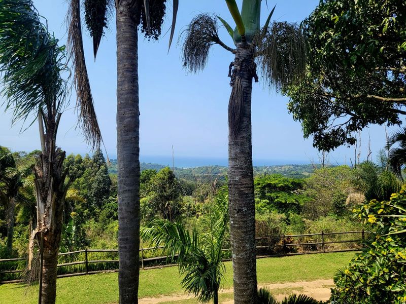 Ultimate Music & Function Venue On Farm   - Photo 2