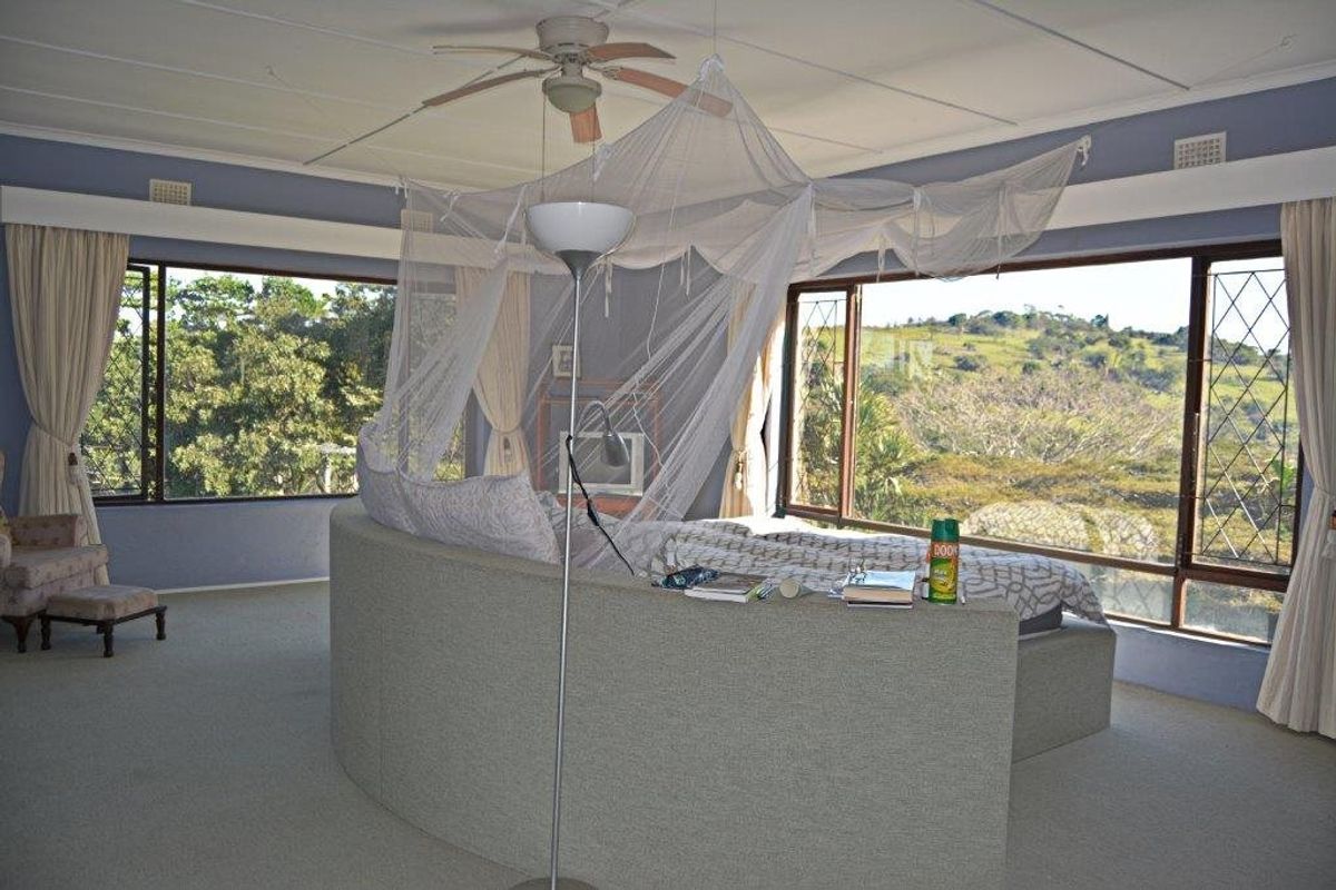 Spacious bedroom featuring large windows with scenic landscape views, carpeted flooring, and a ceiling fan.