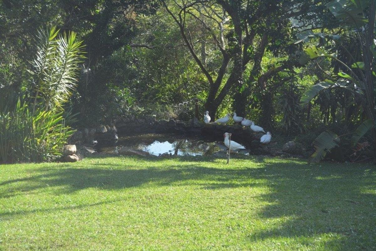 A Smallholding in Prime Spot with Horses and Stables! - Photo 2