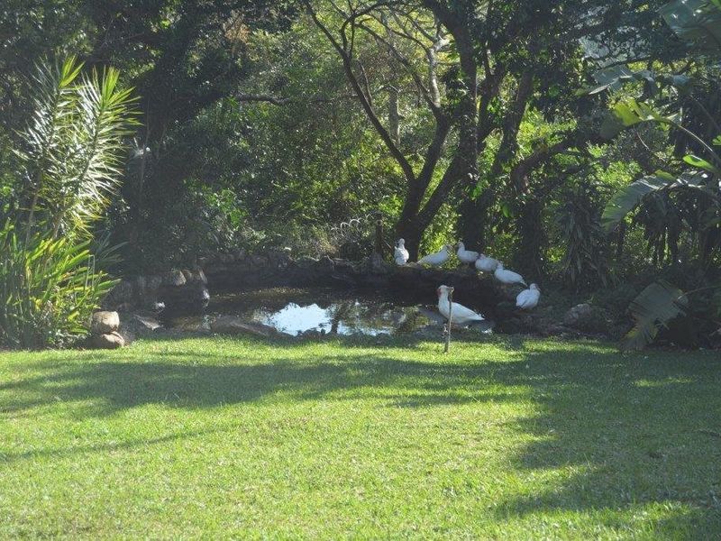 A Smallholding in Prime Spot with Horses and Stables! - Photo 2