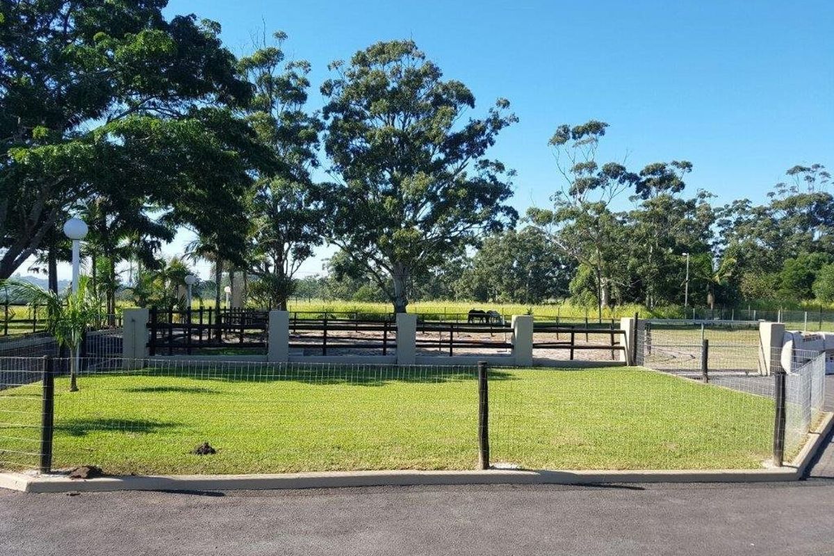 Smallholding with Horses, Stables and Modern Home! - Photo 4