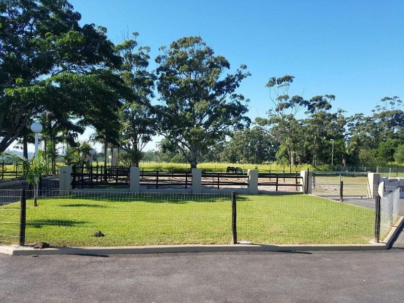 Smallholding with Horses, Stables and Modern Home! - Photo 4