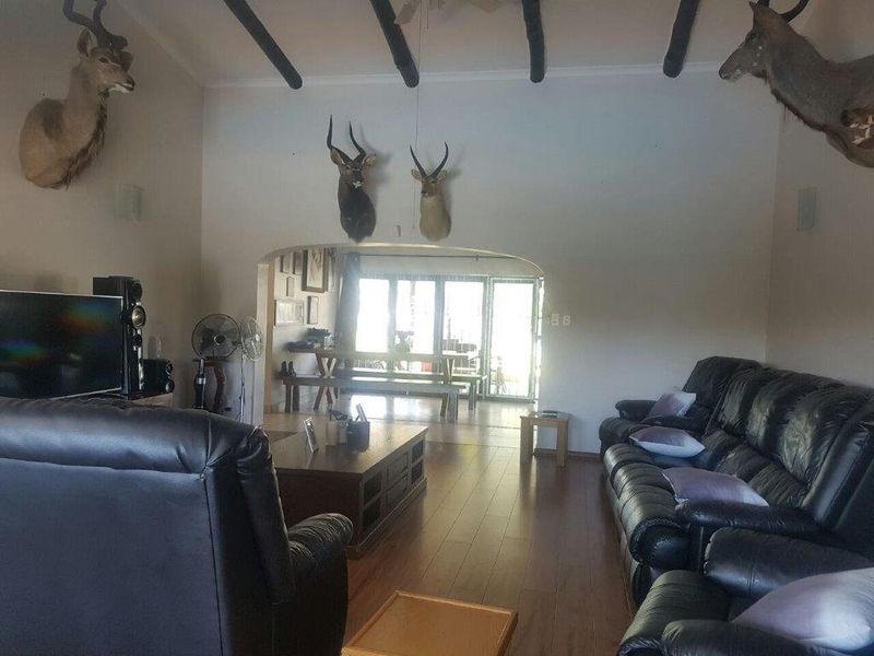 Smallholding with Horses, Stables and Modern Home! - Photo 10