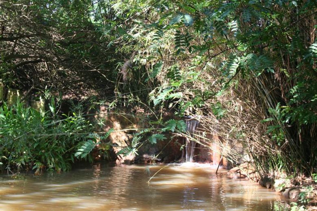An Extremely Well Established Coastal Country Estate with Exclusive Restaurant, Wedding Venue and Nursery! - Photo 4