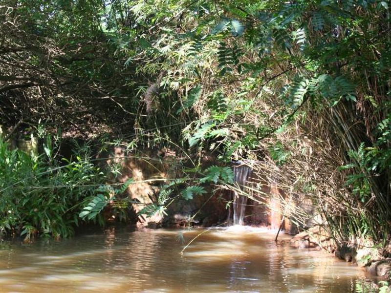An Extremely Well Established Coastal Country Estate with Exclusive Restaurant, Wedding Venue and Nursery! - Photo 4