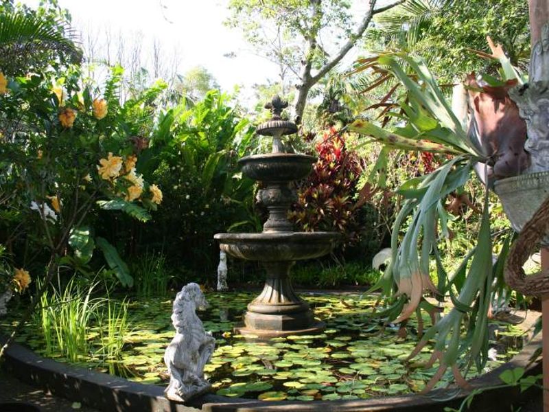 An Extremely Well Established Coastal Country Estate with Exclusive Restaurant, Wedding Venue and Nursery! - Photo 6