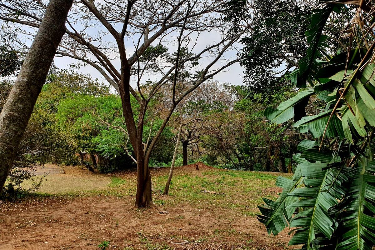 A view of the residential vacant land featuring established trees and natural vegetation, offering a private and tranquil setting.