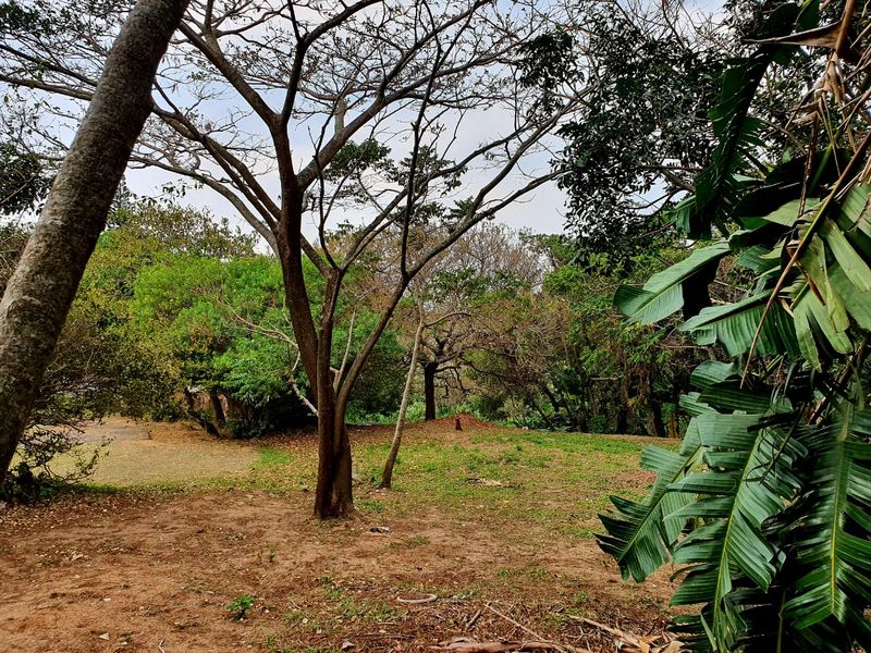 A view of the residential vacant land featuring established trees and natural vegetation, offering a private and tranquil setting.