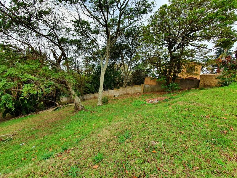 A sloped residential plot featuring established mature trees and a concrete retaining wall boundary.