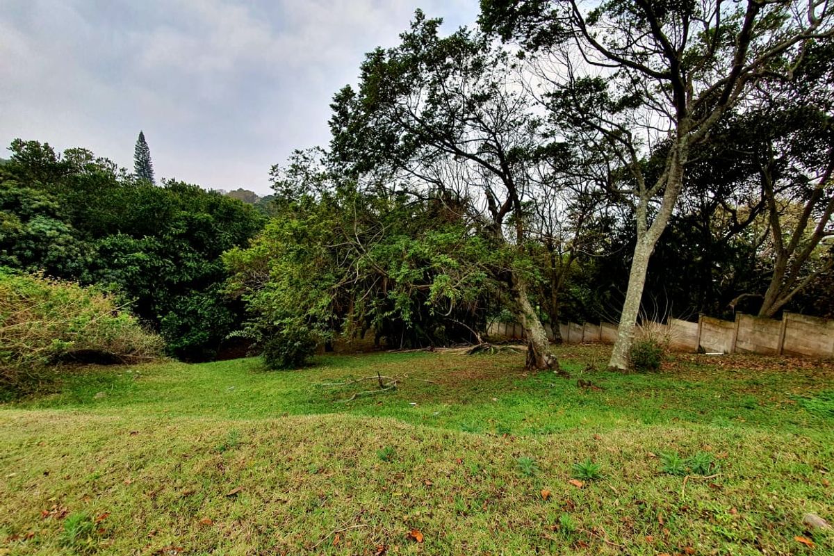 A view of a sloped residential plot featuring established trees and a boundary wall, offering a natural setting for potential development.
