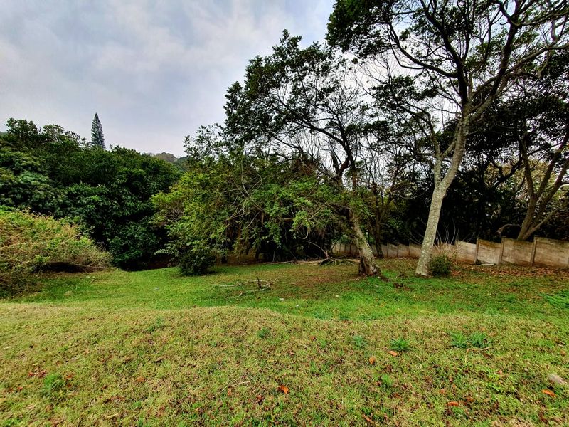 A view of a sloped residential plot featuring established trees and a boundary wall, offering a natural setting for potential development.