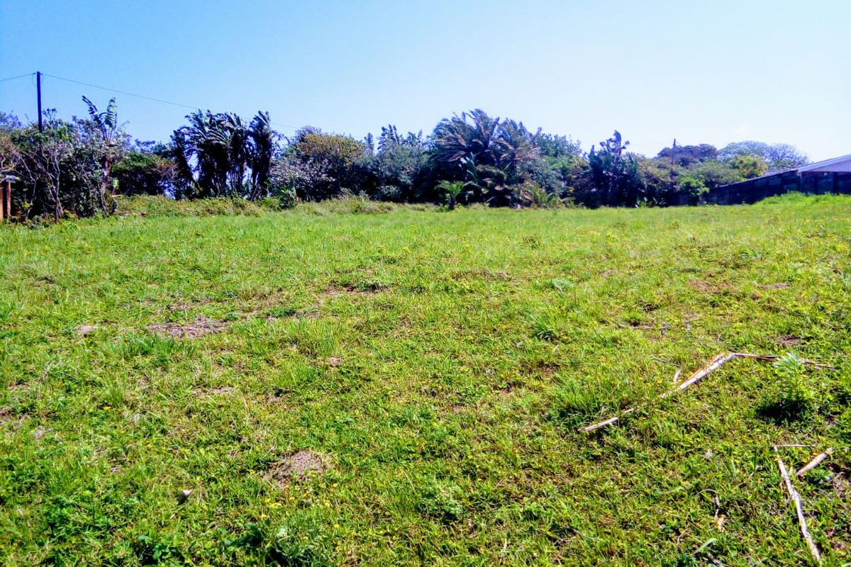 A view of a vacant residential plot featuring a grass lawn and established perimeter trees and vegetation.