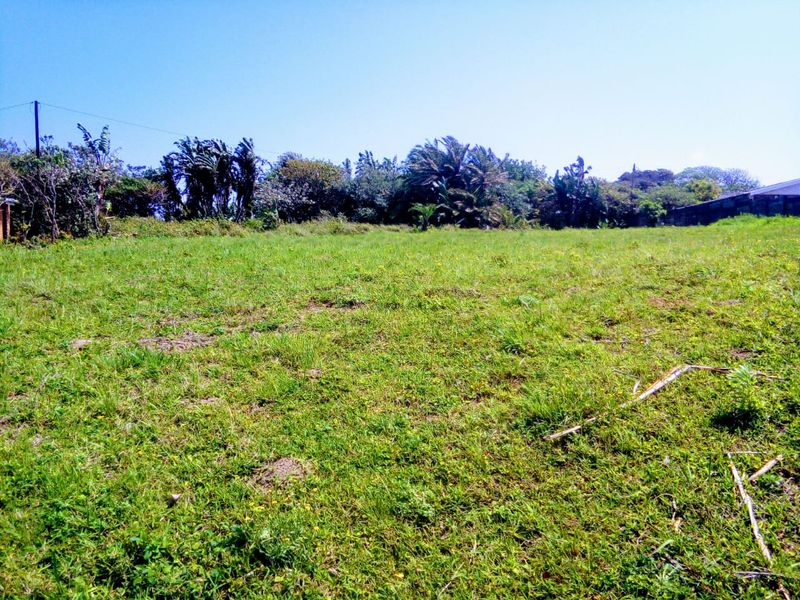 A view of a vacant residential plot featuring a grass lawn and established perimeter trees and vegetation.