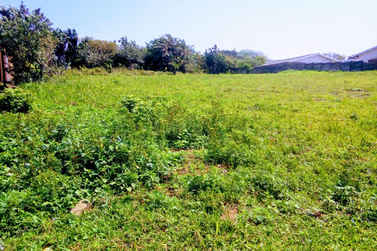 A view of a vacant residential plot featuring natural grass cover, mature trees, and a boundary wall in the background.