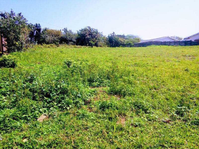A view of a vacant residential plot featuring natural grass cover, mature trees, and a boundary wall in the background.
