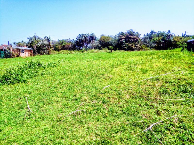 A view of a vacant residential plot featuring a grass lawn and established perimeter vegetation.