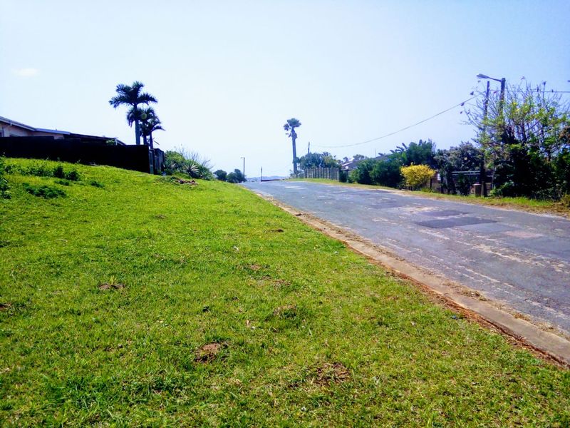 A view of the asphalt street frontage adjacent to the vacant residential land, featuring a grass verge and existing street lighting infrastructure.