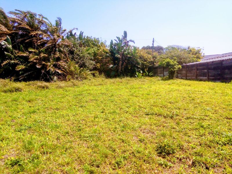 A view of the vacant residential land featuring established trees, natural vegetation, and a boundary wall along the perimeter.
