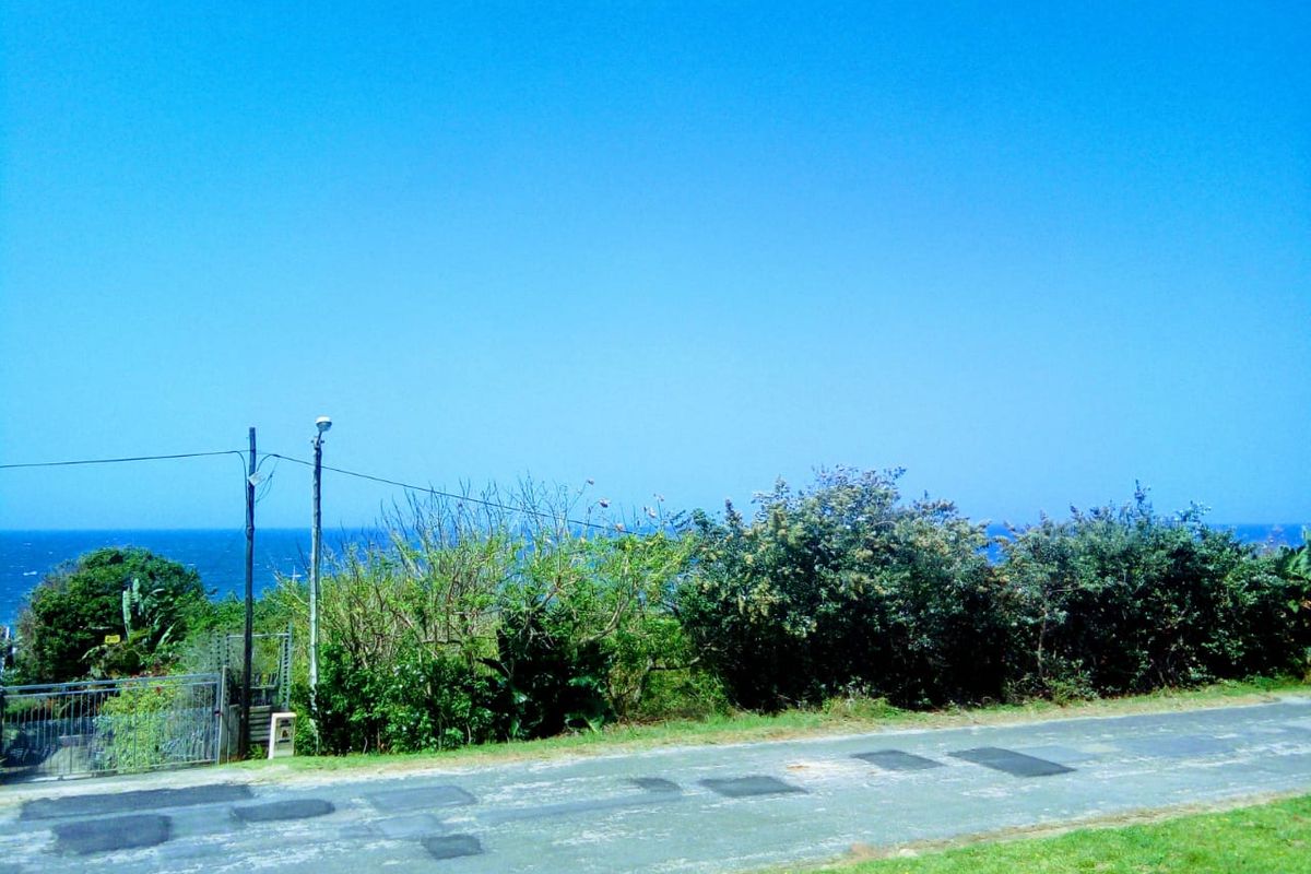 A view of the ocean from the roadside, featuring a utility pole, perimeter fencing, and a paved road surface.