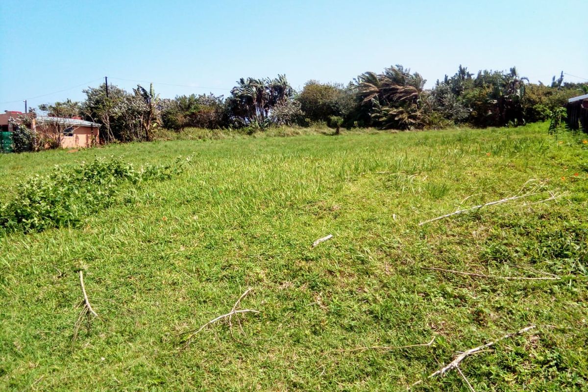 A view of a vacant residential plot featuring open grassy terrain and established perimeter vegetation.