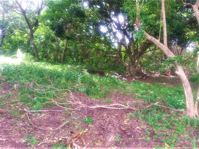A Massive Vacant Piece Of Land In The Popular Umtentweni Perfect For Development!!! - Photo 1