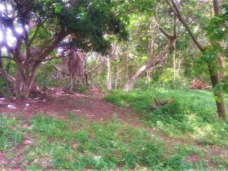 A Massive Vacant Piece Of Land In The Popular Umtentweni Perfect For Development!!! - Photo 4